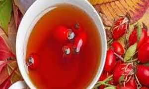 Чем полезен чай из шиповника для здоровья?