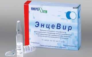 ЭнцеВир вакцина/прививка против клещевого энцефалита