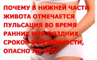 При беременности пульсирует живот на ранних сроках беременности