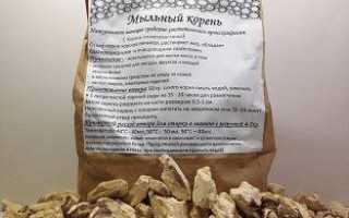 Мыльный корень: применение, польза и вред