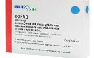 Кокав вакцина/прививка против бешенства