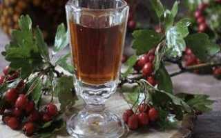 Настой боярышника: как сделать в домашних условиях?