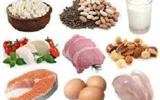 Продукты содержащие больше всего белка