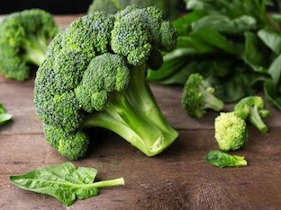 Какая польза брокколи и почему следует потреблять